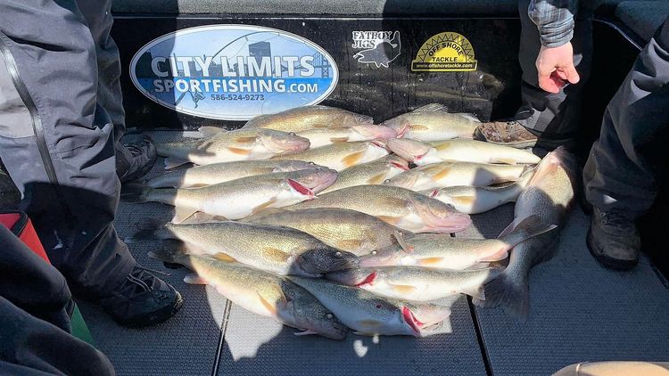 Lake Erie Fishing Charters | Max of 5 Guest